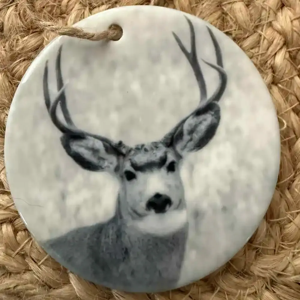 Mule Deer Buck copy.webp