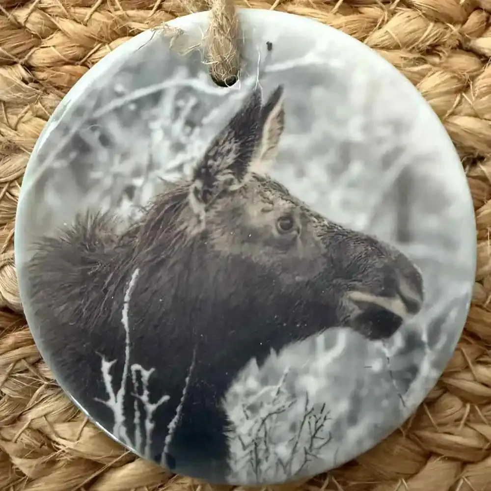 Cow Moose copy.webp