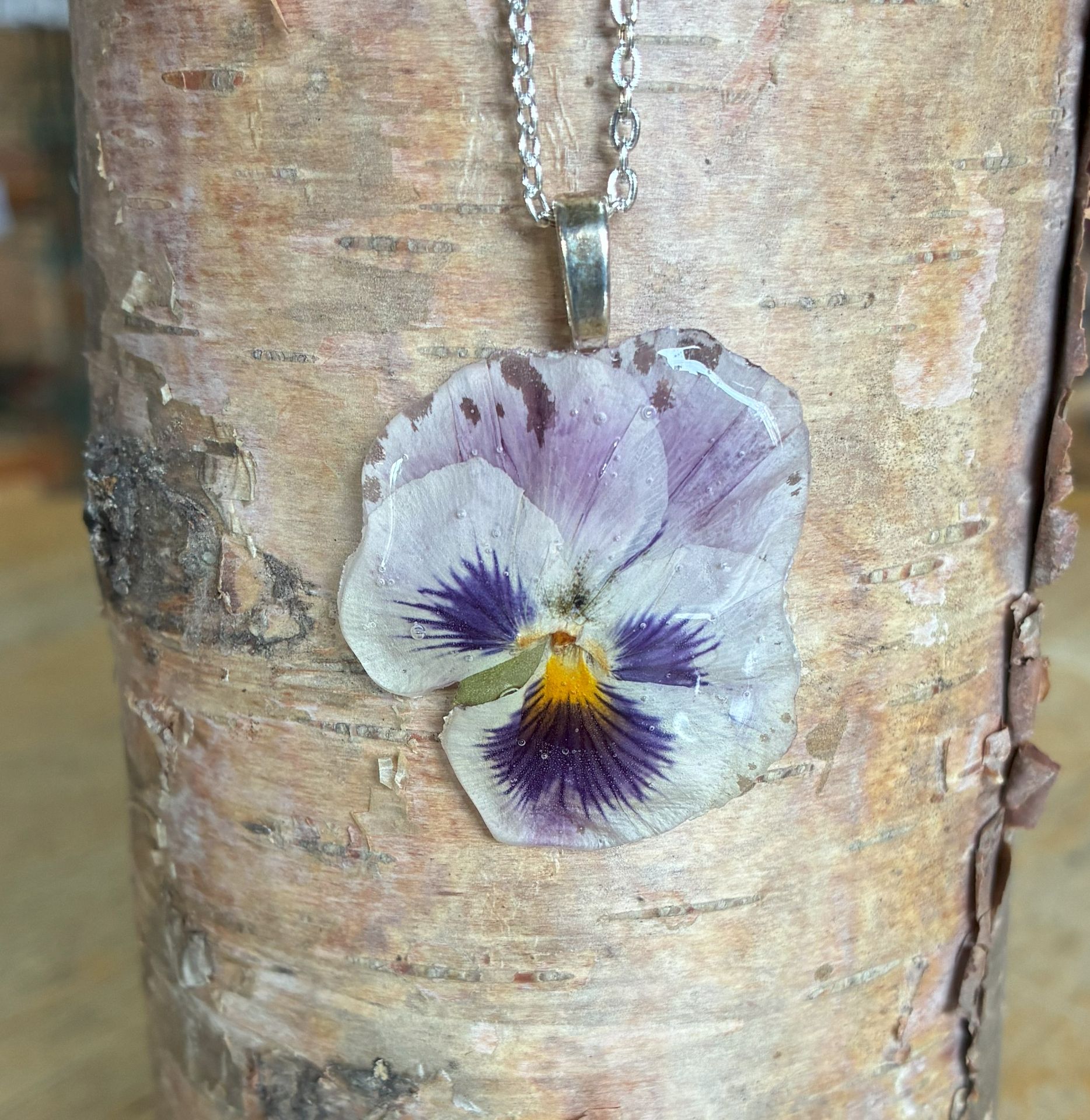 purple pansy.jpg