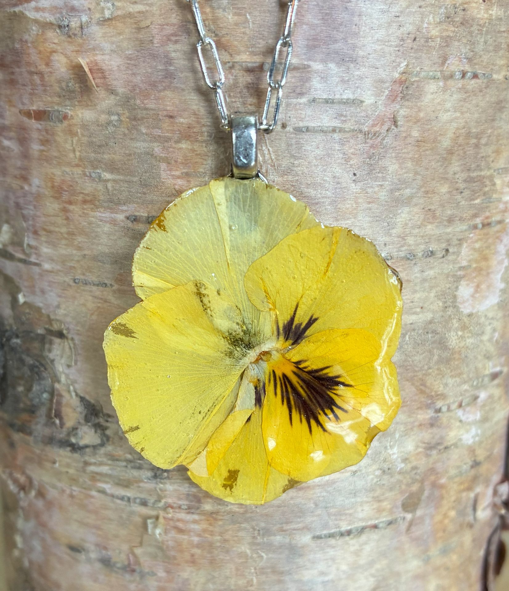 Yellow Pansy.jpg