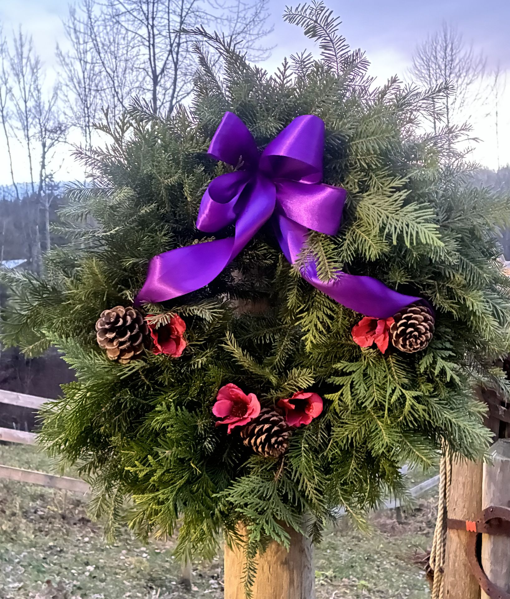 Remembrance Day 5.jpg