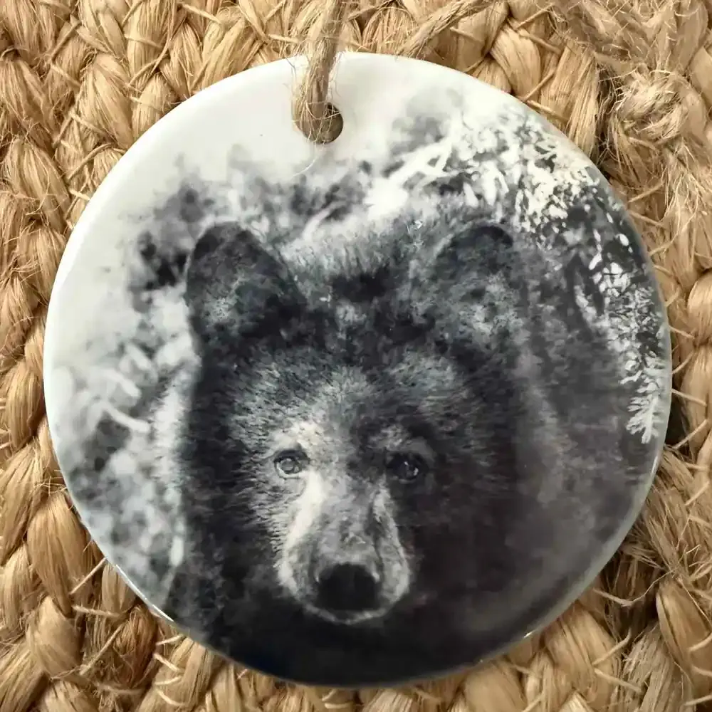 Black Bear copy.webp