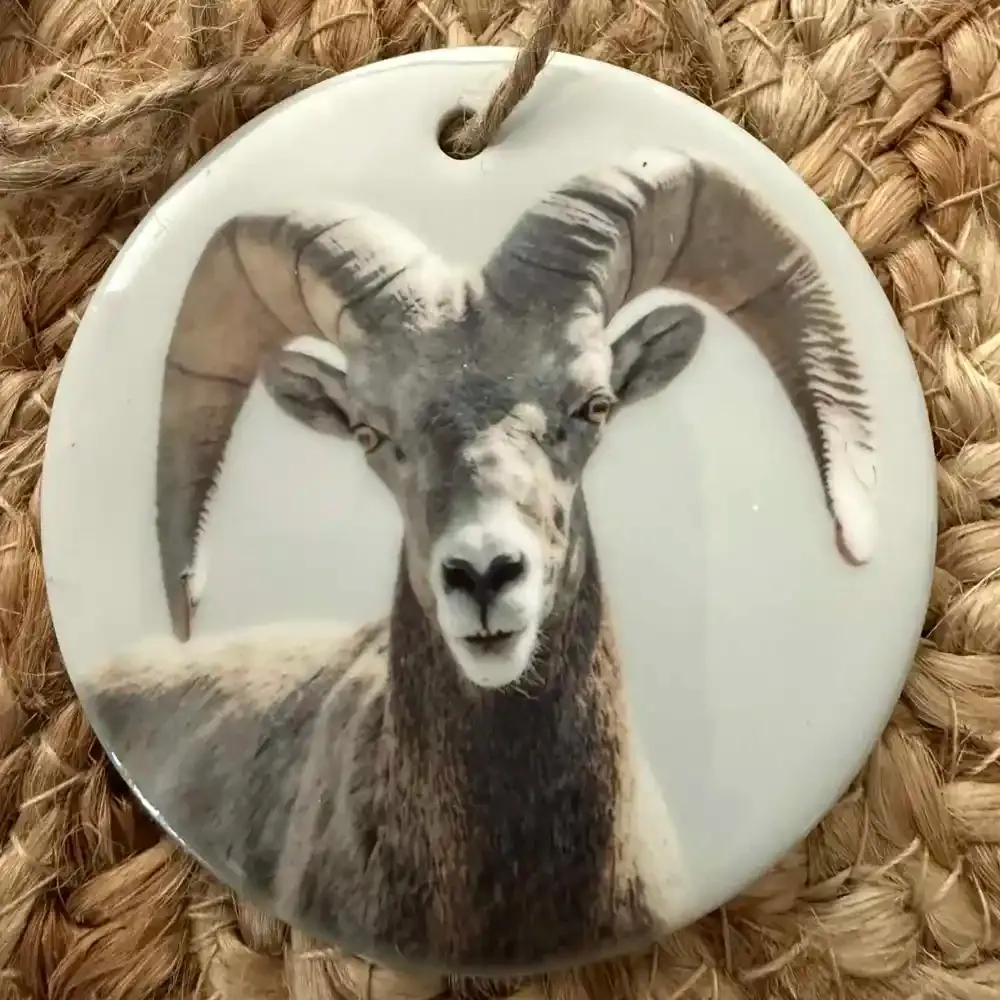 Big Horn Sheep copy.webp