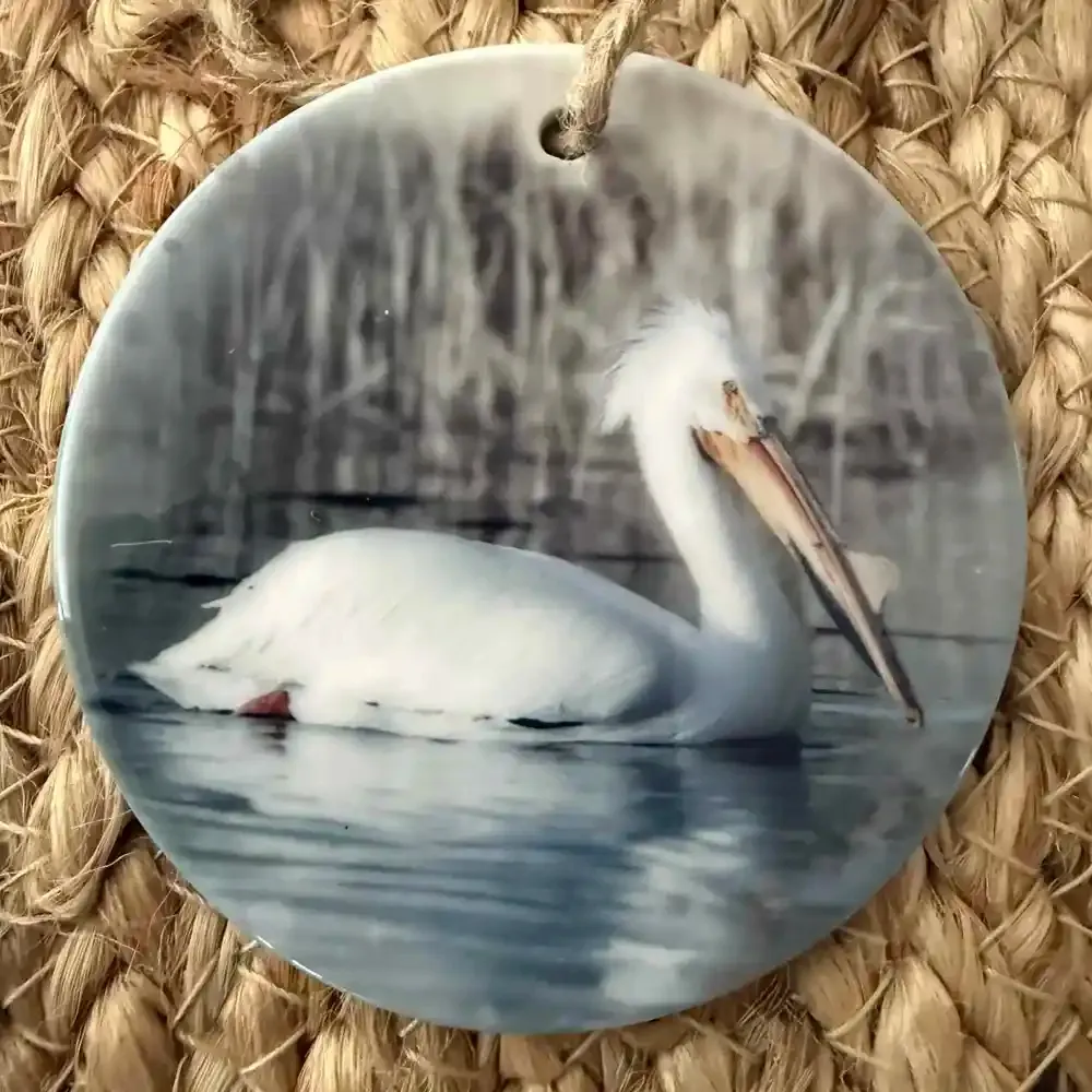 Pelican copy.webp