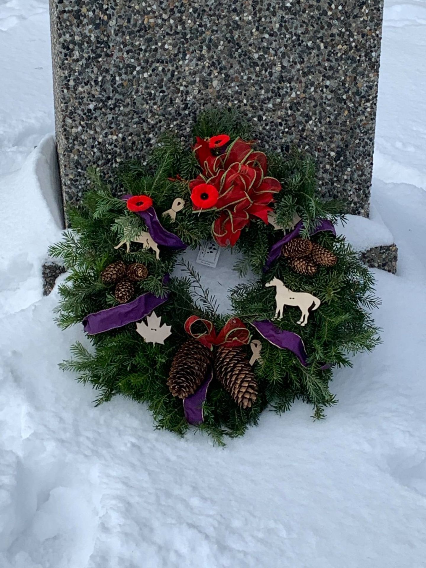 Remembrance Day 2.jpg