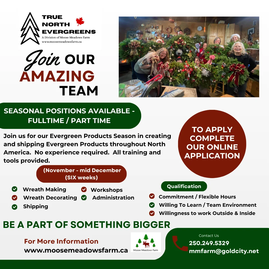 Join our amazing team: seasonal positions at True North Evergreens, full or part time, November to mid December. No experience required. Call 250.249.5329 or email mmfarm@goldcity.net.