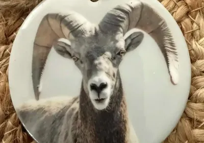 Wildlife Ornaments by Wonders & Light Photography