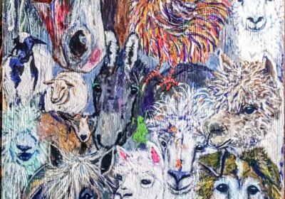 Farm Land Classification Workshops